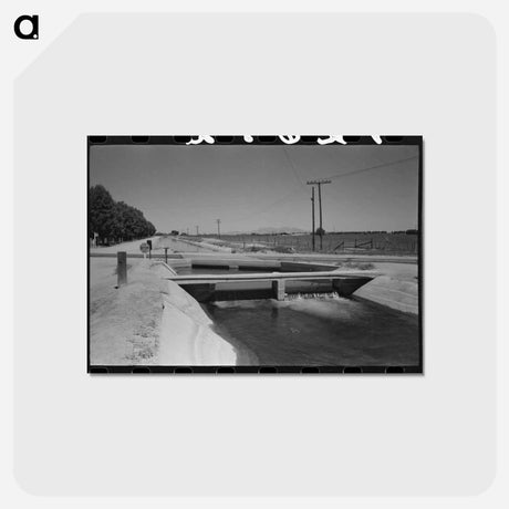 アートポストカード-Irrigation Ditch, Maricopa County, Arizona
 - ラッセル リー Postcard.