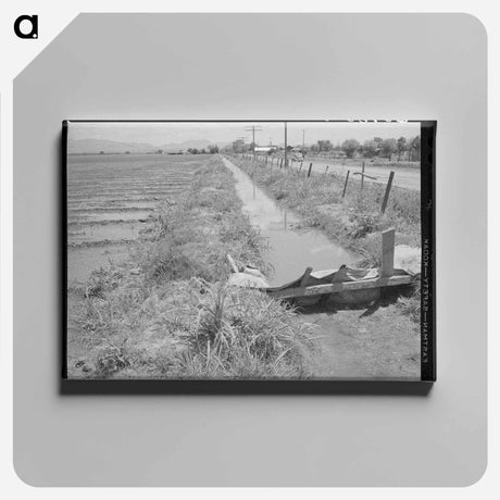 アートパネル-Irrigation Ditch, Solomonsville, Graham County, Arizona
 - ラッセル リー Canvas.
