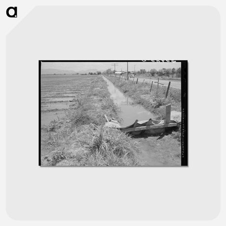 アートポストカード-Irrigation Ditch, Solomonsville, Graham County, Arizona
 - ラッセル リー Postcard.