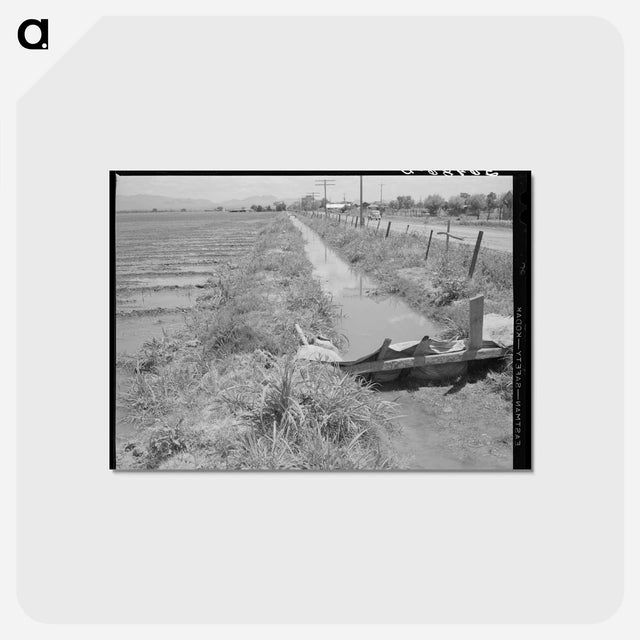 アートポストカード-Irrigation Ditch, Solomonsville, Graham County, Arizona
 - ラッセル リー Postcard.