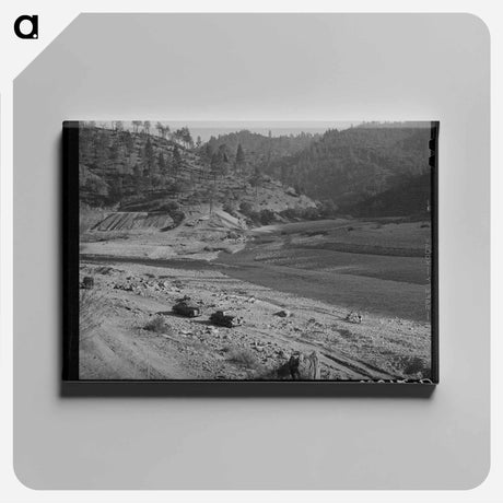 アートパネル-Mountain Stream, Placer County, California
 - ラッセル リー Canvas.