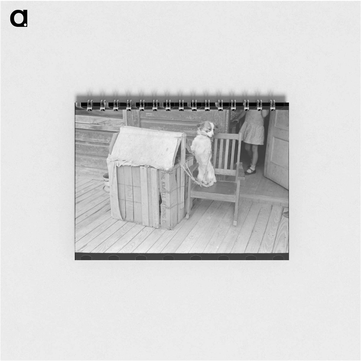 アートメモ帳-Rear View of Mexican House, San Antonio, Texas
 - ラッセル リー Memo.