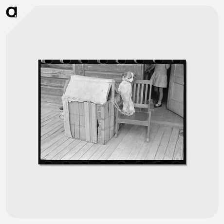 アートポストカード-Rear View of Mexican House, San Antonio, Texas
 - ラッセル リー Postcard.