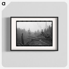 アートポスター-Donkey Engine Transporting Logs, Long Bell Lumber Company, Cowlitz County, Washington
 - ラッセル リー Poster.