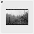 アートポストカード-Donkey Engine Transporting Logs, Long Bell Lumber Company, Cowlitz County, Washington
 - ラッセル リー Postcard.
