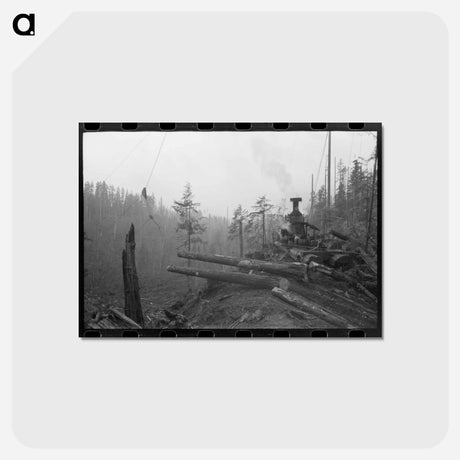 アートポストカード-Donkey Engine Transporting Logs, Long Bell Lumber Company, Cowlitz County, Washington
 - ラッセル リー Postcard.
