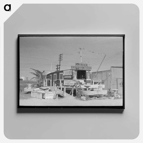アートパネル-Curio Shop, Corpus Christi, Texas
 - ラッセル リー Canvas.