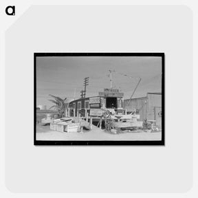 アートポストカード-Curio Shop, Corpus Christi, Texas
 - ラッセル リー Postcard.