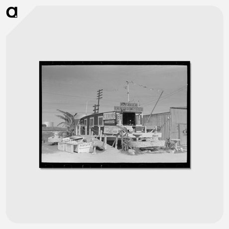 アートポストカード-Curio Shop, Corpus Christi, Texas
 - ラッセル リー Postcard.