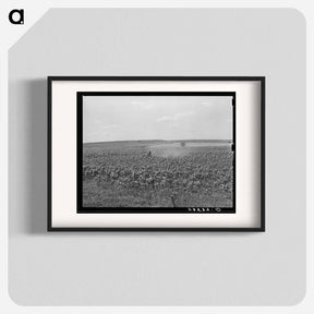 アートポスター-Plowing Corn, Wagoner County, Oklahoma
 - ラッセル リー Poster.