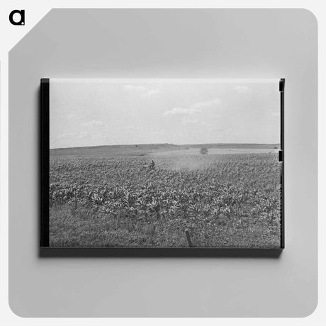 アートパネル-Plowing Corn, Wagoner County, Oklahoma
 - ラッセル リー Canvas.