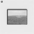 アートメモ帳-Plowing Corn, Wagoner County, Oklahoma
 - ラッセル リー Memo.