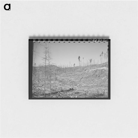 アートメモ帳-Cut-over Forest Land, Clatsop County, Oregon
 - ラッセル リー Memo.