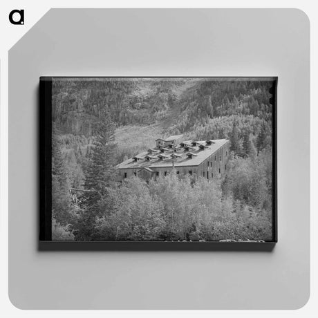 アートパネル-Abandoned Gold Mill at Ophir, Colorado
 - ラッセル リー Canvas.