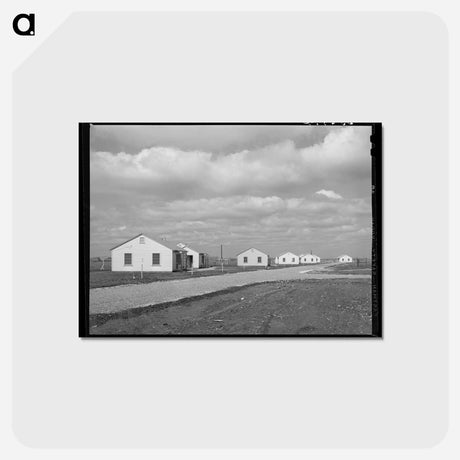 アートポストカード-Houses for Permanent Agricultural Workers at Migratory Labor Camp
 - ラッセル リー Postcard.