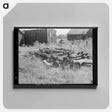 アートパネル-Sled Runners, Abandoned Lumber Camp, Gemmel, Minnesota
 - ラッセル リー Canvas.