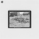 アートメモ帳-Sled Runners, Abandoned Lumber Camp, Gemmel, Minnesota
 - ラッセル リー Memo.