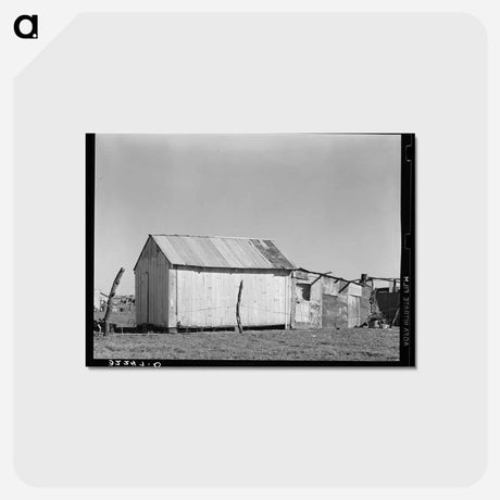 アートポストカード-Vernacular Dwelling, Robstown, Texas
 - ラッセル リー Postcard.