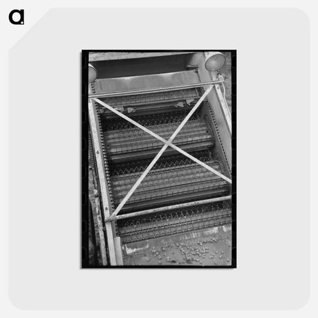 アートポストカード-Detail of Cleaning Apparatus on Hop Picker
 - ラッセル リー Postcard.