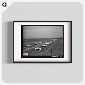 アートポスター-General View of Houses for Members of Mineral King Cooperative Farm, Visalia, California
 - ラッセル リー Poster.