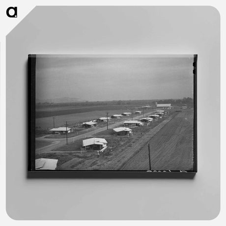 アートパネル-General View of Houses for Members of Mineral King Cooperative Farm, Visalia, California
 - ラッセル リー Canvas.