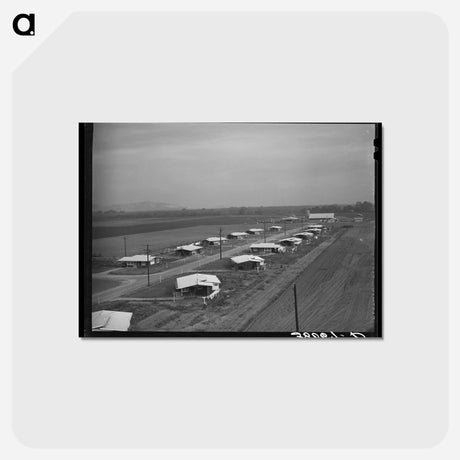 アートポストカード-General View of Houses for Members of Mineral King Cooperative Farm, Visalia, California
 - ラッセル リー Postcard.