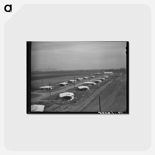 アートポストカード-General View of Houses for Members of Mineral King Cooperative Farm, Visalia, California
 - ラッセル リー Postcard.