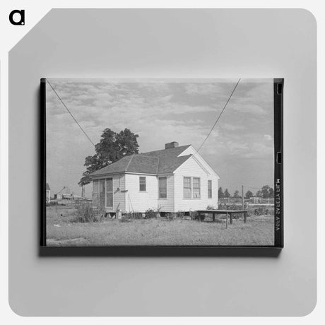 アートパネル-Types of Houses, Lake Dick Project, Arkansas
 - ラッセル リー Canvas.