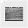 アートポストカード-Framework Erection, Migrant Camp, Sinton, Texas
 - ラッセル リー Postcard.