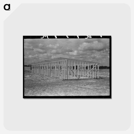 アートポストカード-Framework Erection, Migrant Camp, Sinton, Texas
 - ラッセル リー Postcard.