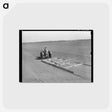 アートポストカード-Tractor Pulling Wooden Floater, El Indio, Texas
 - ラッセル リー Postcard.