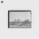 アートメモ帳-Character of Mesquite Land, Tom Green County, Texas
 - ラッセル リー Memo.