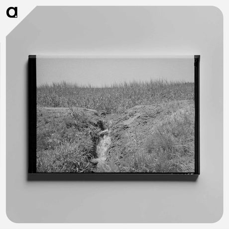 アートパネル-Irrigation Runoff, Chamisal, New Mexico
 - ラッセル リー Canvas.