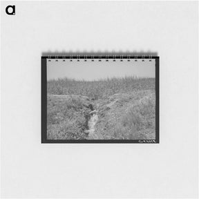 アートメモ帳-Irrigation Runoff, Chamisal, New Mexico
 - ラッセル リー Memo.