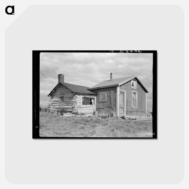 アートポストカード-J. W. Panchot's House, Near Northome, Minnesota
 - ラッセル リー Postcard.