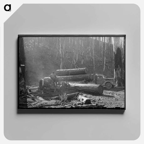 アートパネル-Loading Logs onto Truck, Tillamook County, Oregon
 - ラッセル リー Canvas.