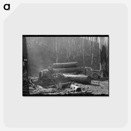 アートポストカード-Loading Logs onto Truck, Tillamook County, Oregon
 - ラッセル リー Postcard.