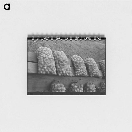 アートメモ帳-Onions at Market Near Greenfield, Massachusetts
 - ラッセル リー Memo.