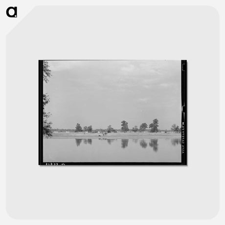 アートポストカード-Lake Dick Project, Arkansas
 - ラッセル リー Postcard.