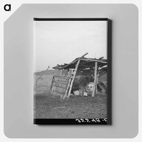 アートパネル-Cowshed on Farm in McIntosh County, Oklahoma
 - ラッセル リー Canvas.