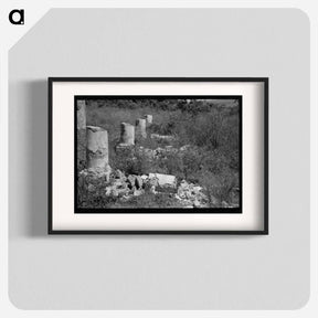 アートポスター-Plantation House Ruins near Lutcher, Louisiana
 - ラッセル リー Poster.