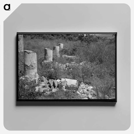 アートパネル-Plantation House Ruins near Lutcher, Louisiana
 - ラッセル リー Canvas.