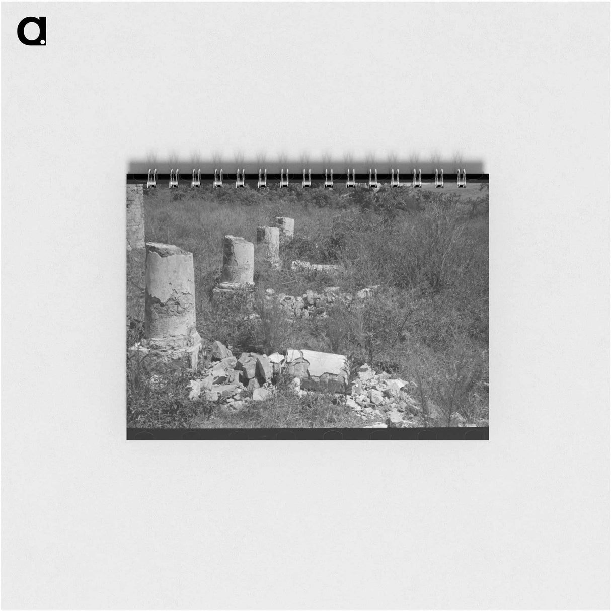アートメモ帳-Plantation House Ruins near Lutcher, Louisiana
 - ラッセル リー Memo.