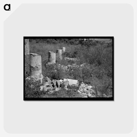 アートポストカード-Plantation House Ruins near Lutcher, Louisiana
 - ラッセル リー Postcard.