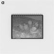 アートメモ帳-Agricultural Still Life, Walla Walla County
 - ラッセル リー Memo.