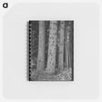 アートメモ帳-Trees on Holdings of the Long Bell Lumber Company, Cowlitz County, Washington
 - ラッセル リー Memo.