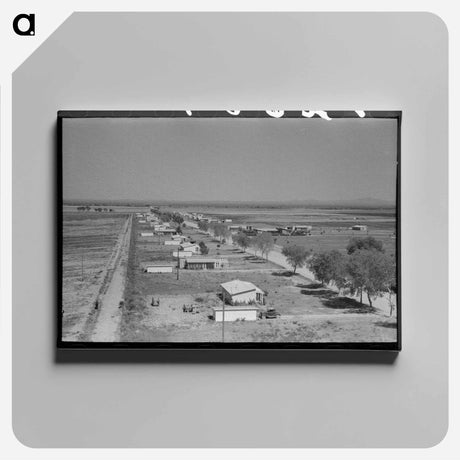 アートパネル-Houses at Casa Grande Valley Farms
 - ラッセル リー Canvas.