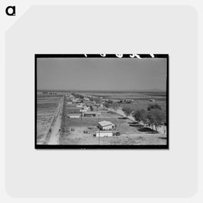アートポストカード-Houses at Casa Grande Valley Farms
 - ラッセル リー Postcard.