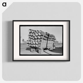 アートポスター-Baskets for Citrus Fruit, Pharr, Texas
 - ラッセル リー Poster.
