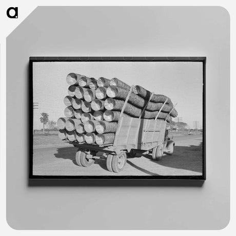 アートパネル-Baskets for Citrus Fruit, Pharr, Texas
 - ラッセル リー Canvas.